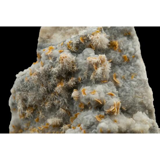 Pyroaurite & Aragonite