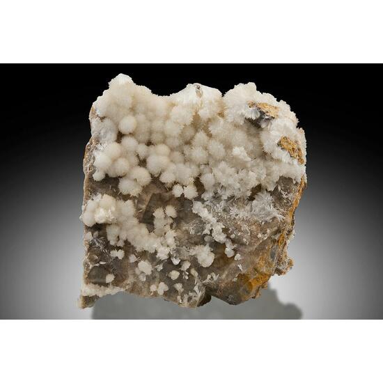 Aragonite