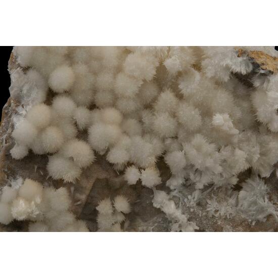 Aragonite