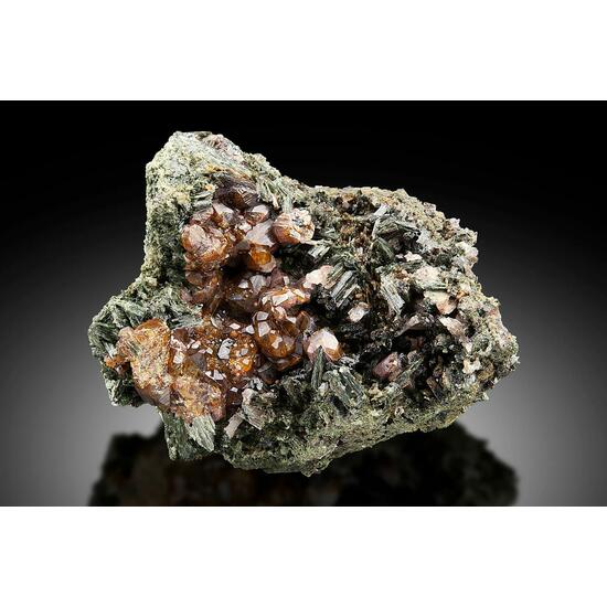 Andradite On Ferro-hornblende