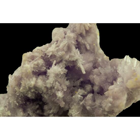 Goldichite & Halotrichite