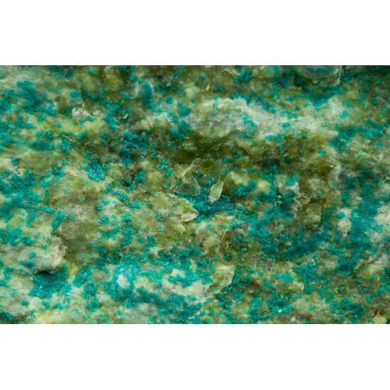 Spangolite With Connellite