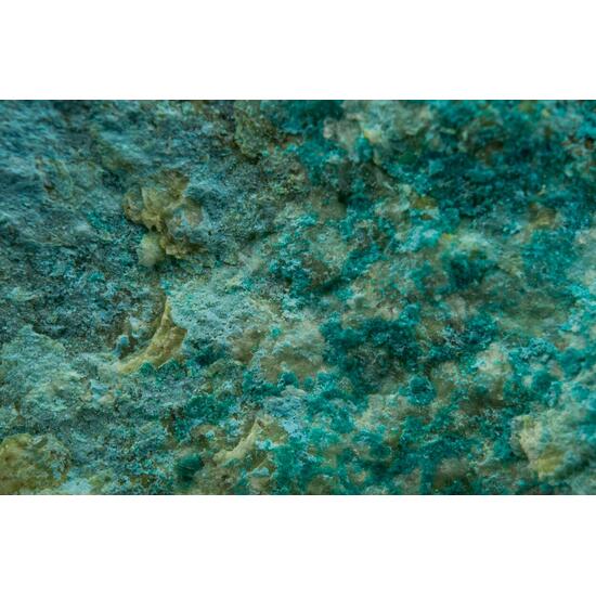 Spangolite With Connellite