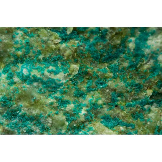 Spangolite With Connellite