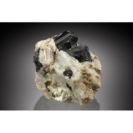 Schorl & Muscovite