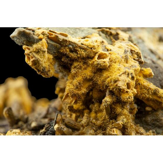 Cervantite On Stibiconite