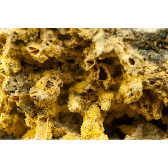 Cervantite On Stibiconite