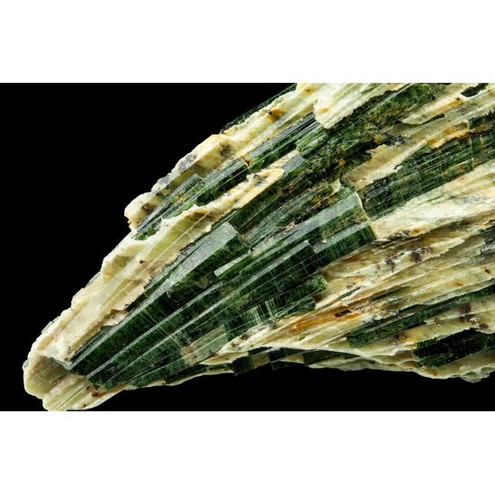 Actinolite