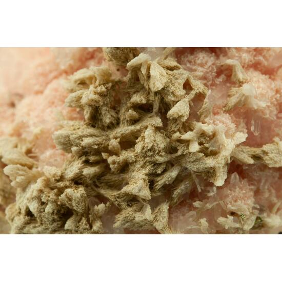 Rhodochrosite Quartz & Kutnohorite