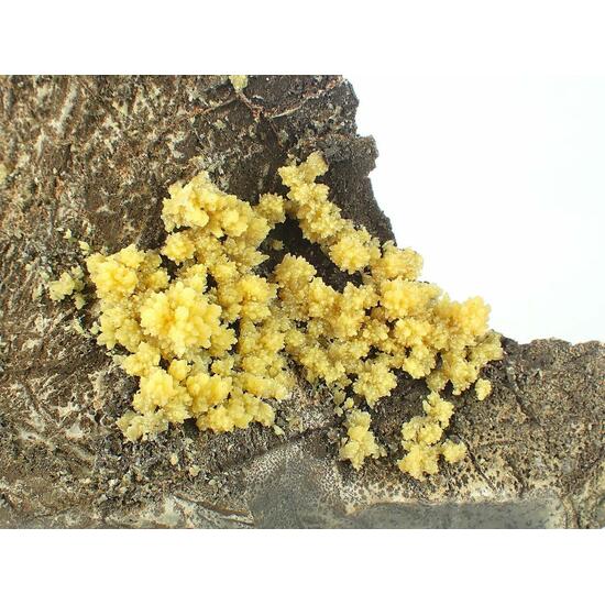 Mimetite