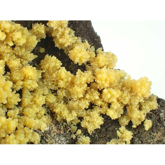 Mimetite