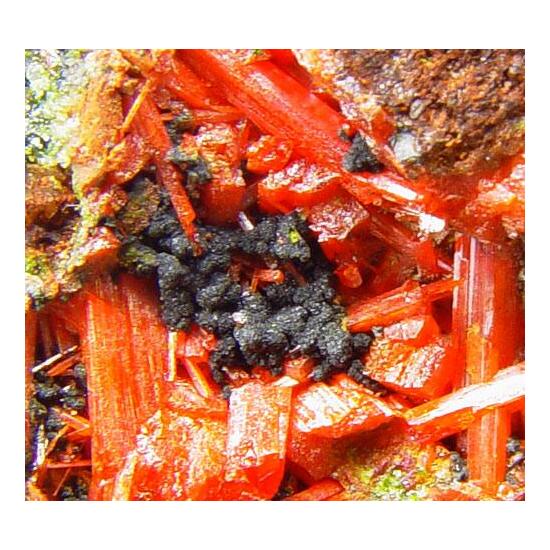 Vauquelinite & Crocoite