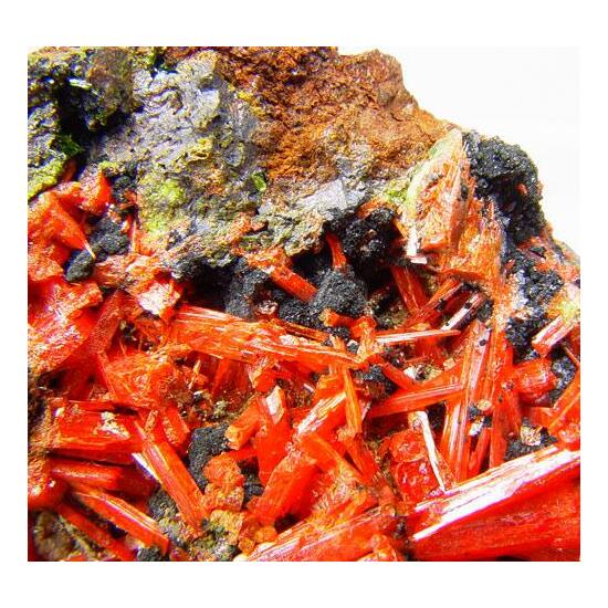 Vauquelinite & Crocoite