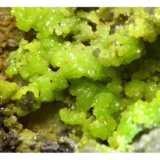 Pyromorphite
