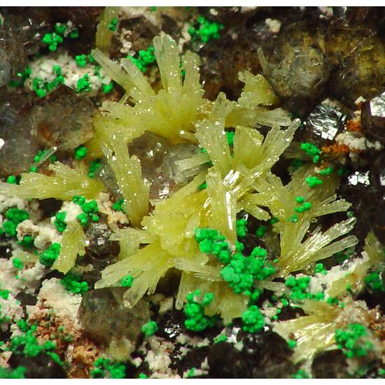 Willemite & Mimetite