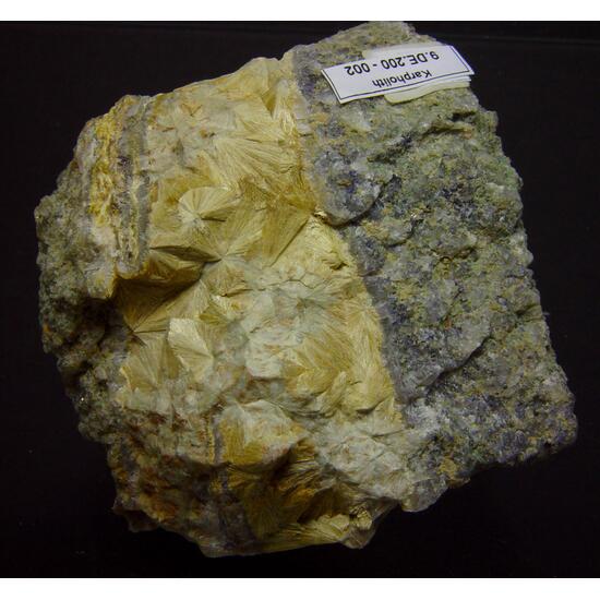 Carpholite
