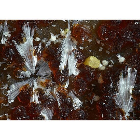 Tiptopite & Roscherite