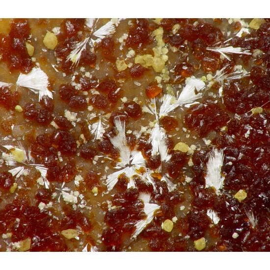 Tiptopite & Roscherite