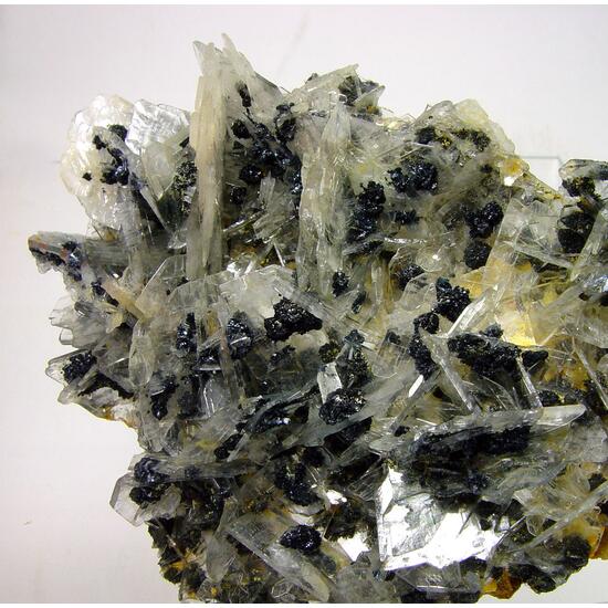Baryte & Stibnite
