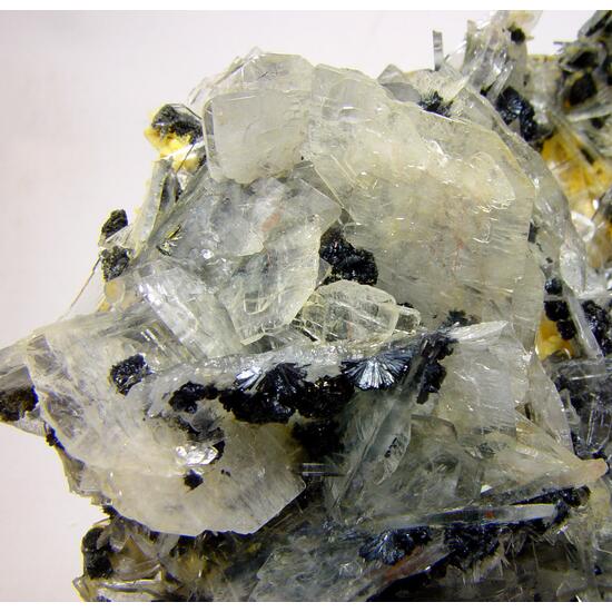 Baryte & Stibnite