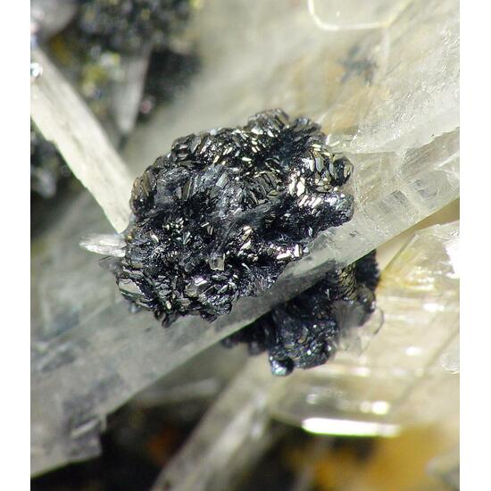 Baryte & Stibnite