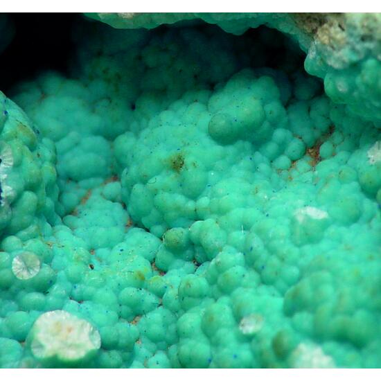 Aurichalcite & Azurite