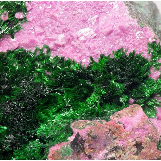 Cobaltoan Calcite & Malachite