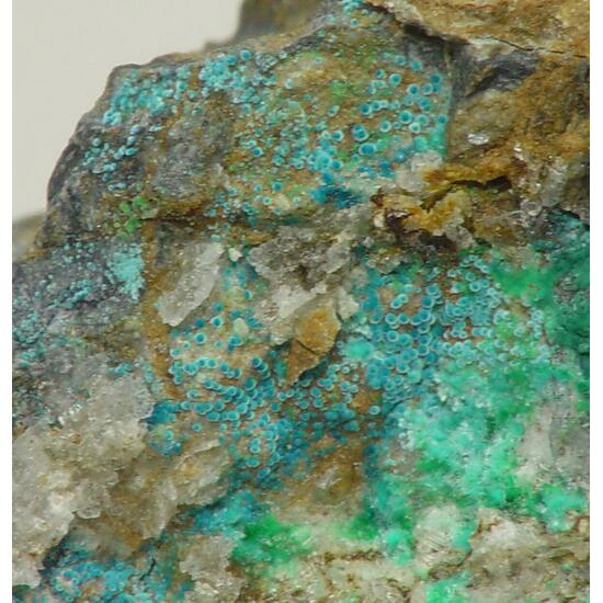 Fehrite & Connellite