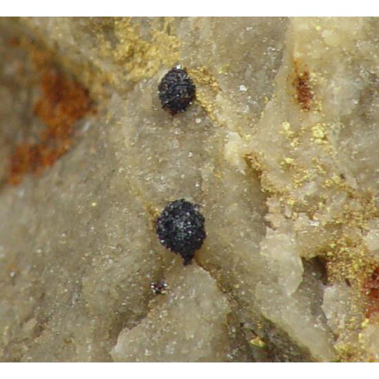 Fervanite & Schubnelite