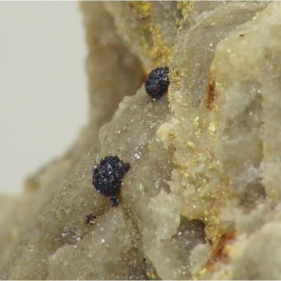 Fervanite & Schubnelite