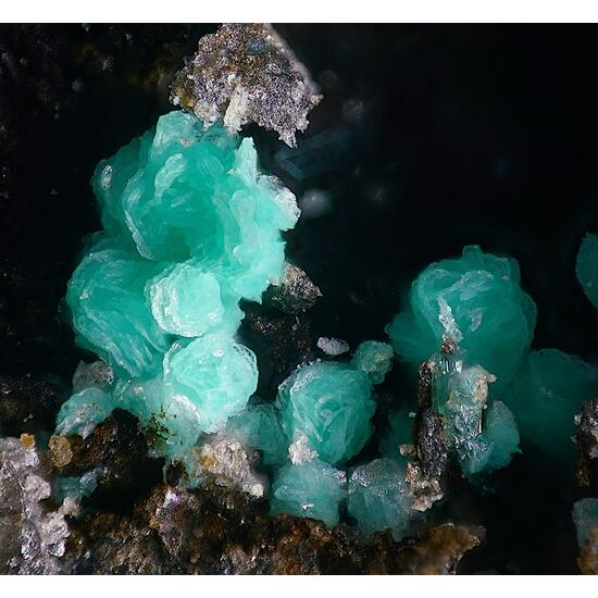 Schulenbergite & Serpierite