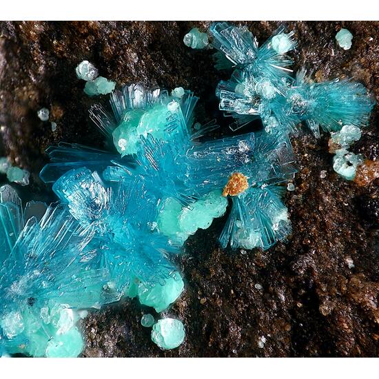 Schulenbergite & Serpierite