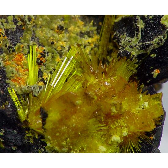 Becquerelite & Masuyite