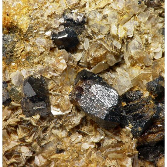 Cassiterite
