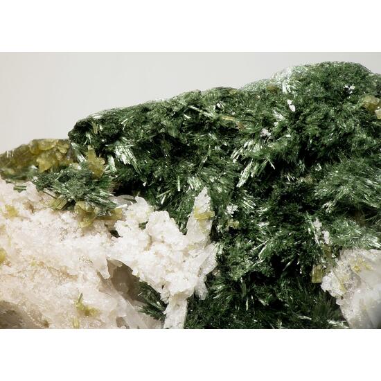 Pyrosmalite-(Fe) & Hedenbergite