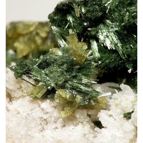 Pyrosmalite-(Fe) & Hedenbergite