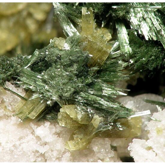 Pyrosmalite-(Fe) & Hedenbergite