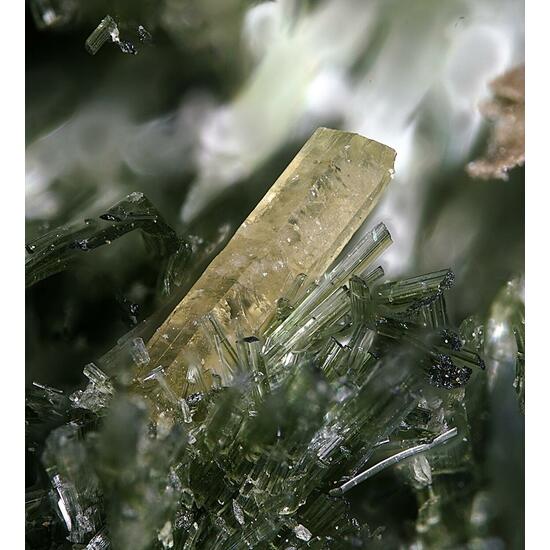 Pyrosmalite-(Fe) & Hedenbergite