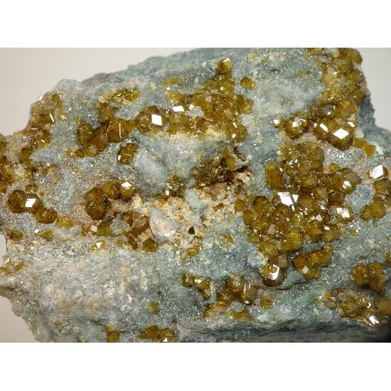 Topazolite On Serpentine