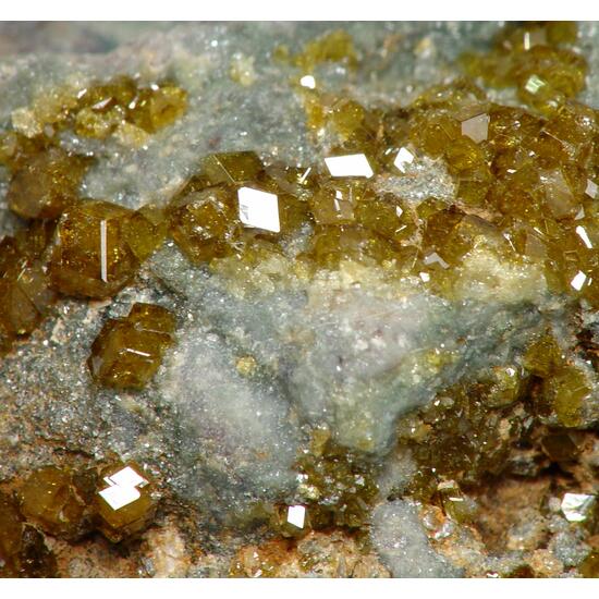 Topazolite On Serpentine