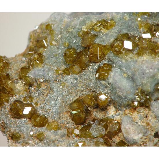 Topazolite On Serpentine