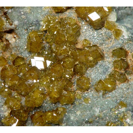 Topazolite On Serpentine