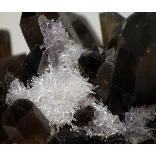 Bertrandite On Smoky Quartz