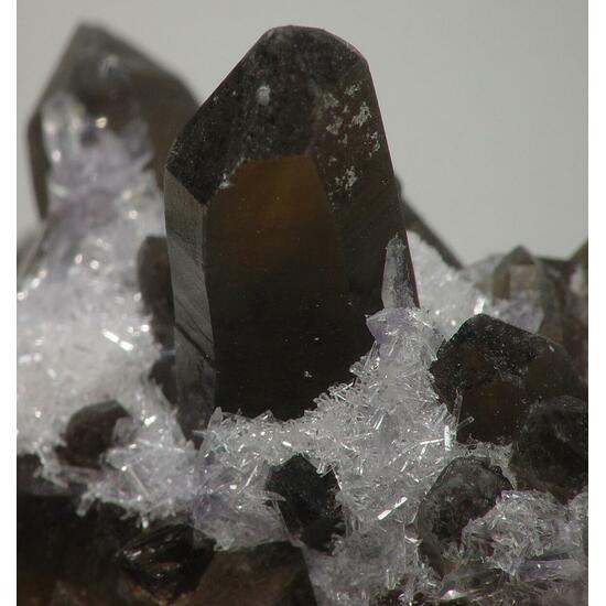 Bertrandite On Smoky Quartz