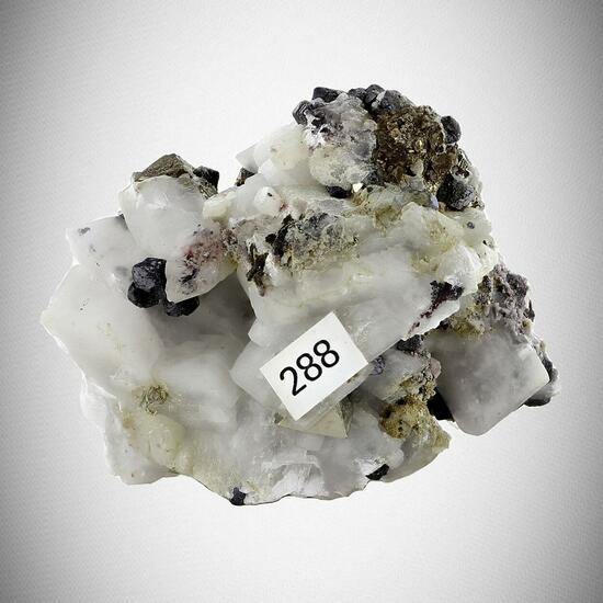 Galena With Pyrite