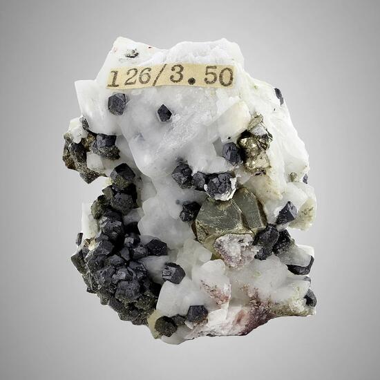 Galena With Pyrite