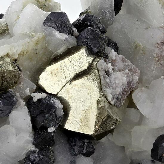 Galena With Pyrite