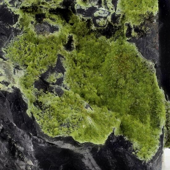 Epidote