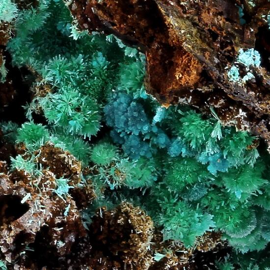 Rosasite With Malachite