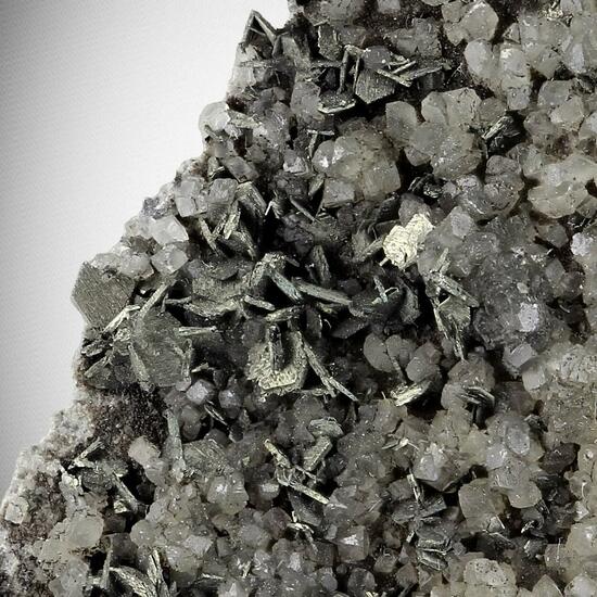 Marcasite With Calcite